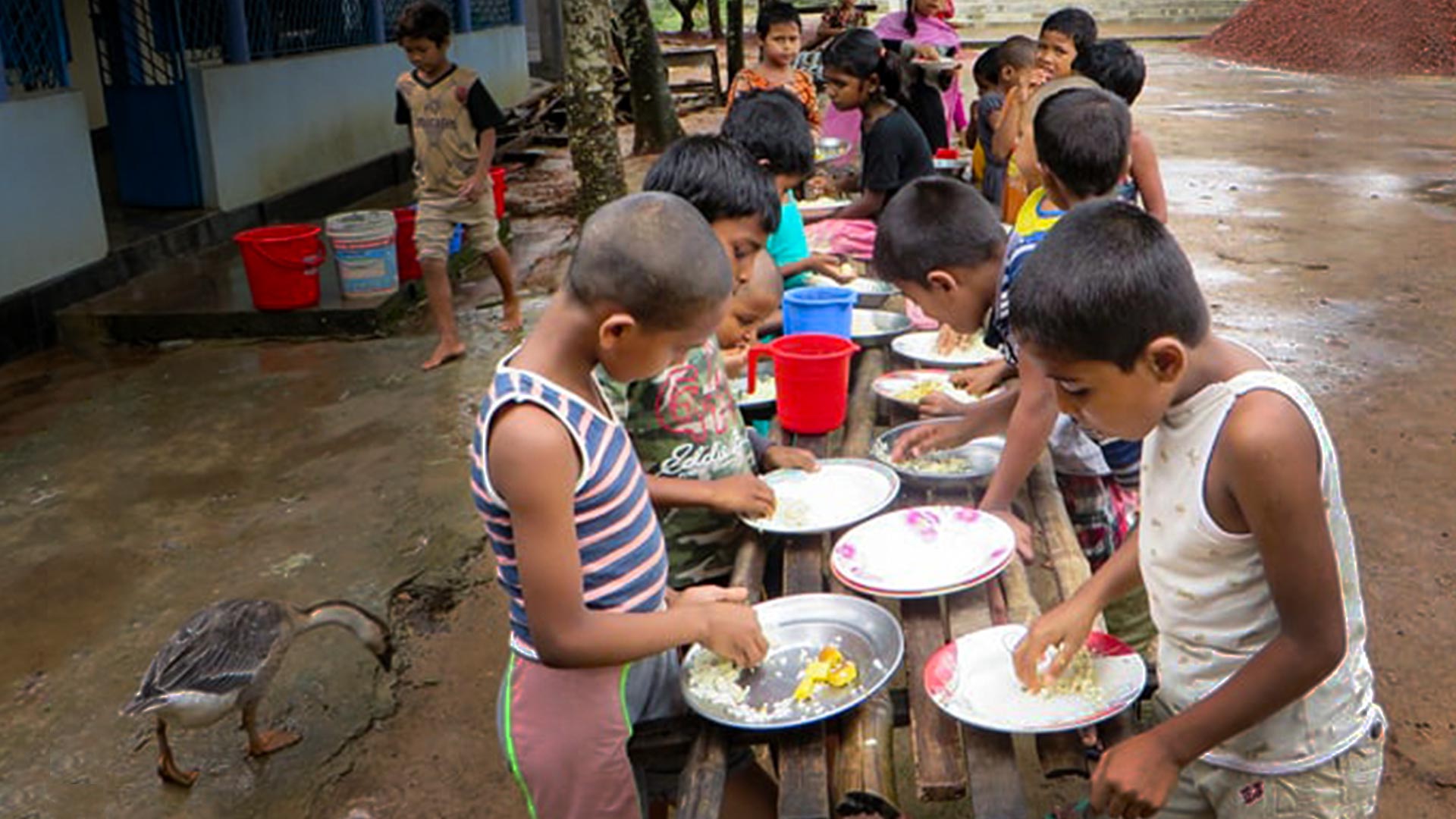 방글라데시 빈곤아동의 배고픔을 채워주세요.